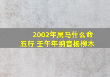 2002年属马什么命五行 壬午年纳音杨柳木